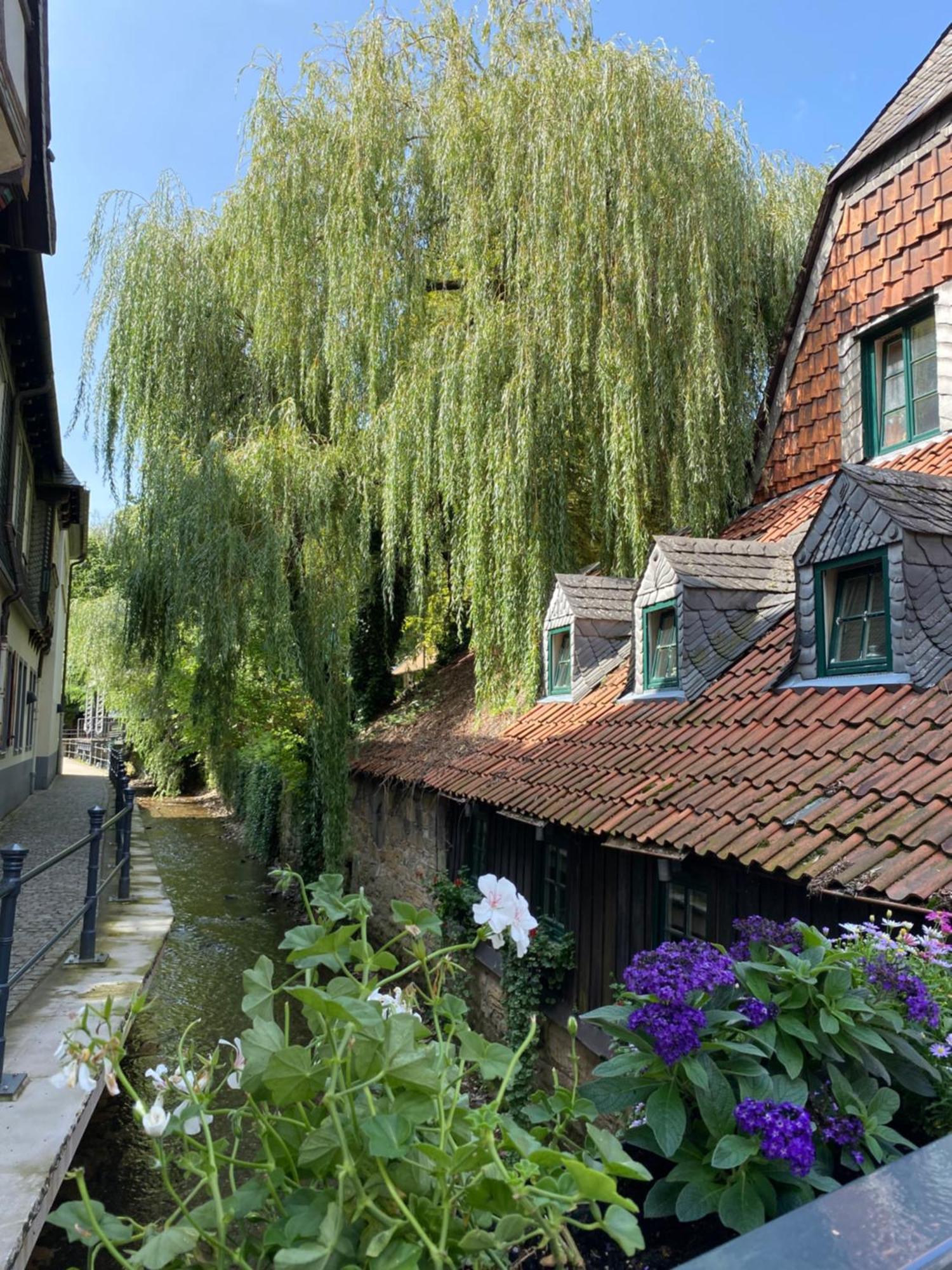 Fewo Georgenberg Goslar Buitenkant foto