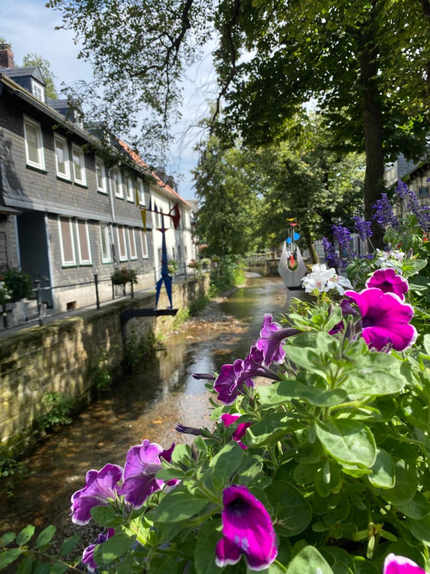 Fewo Georgenberg Goslar Buitenkant foto