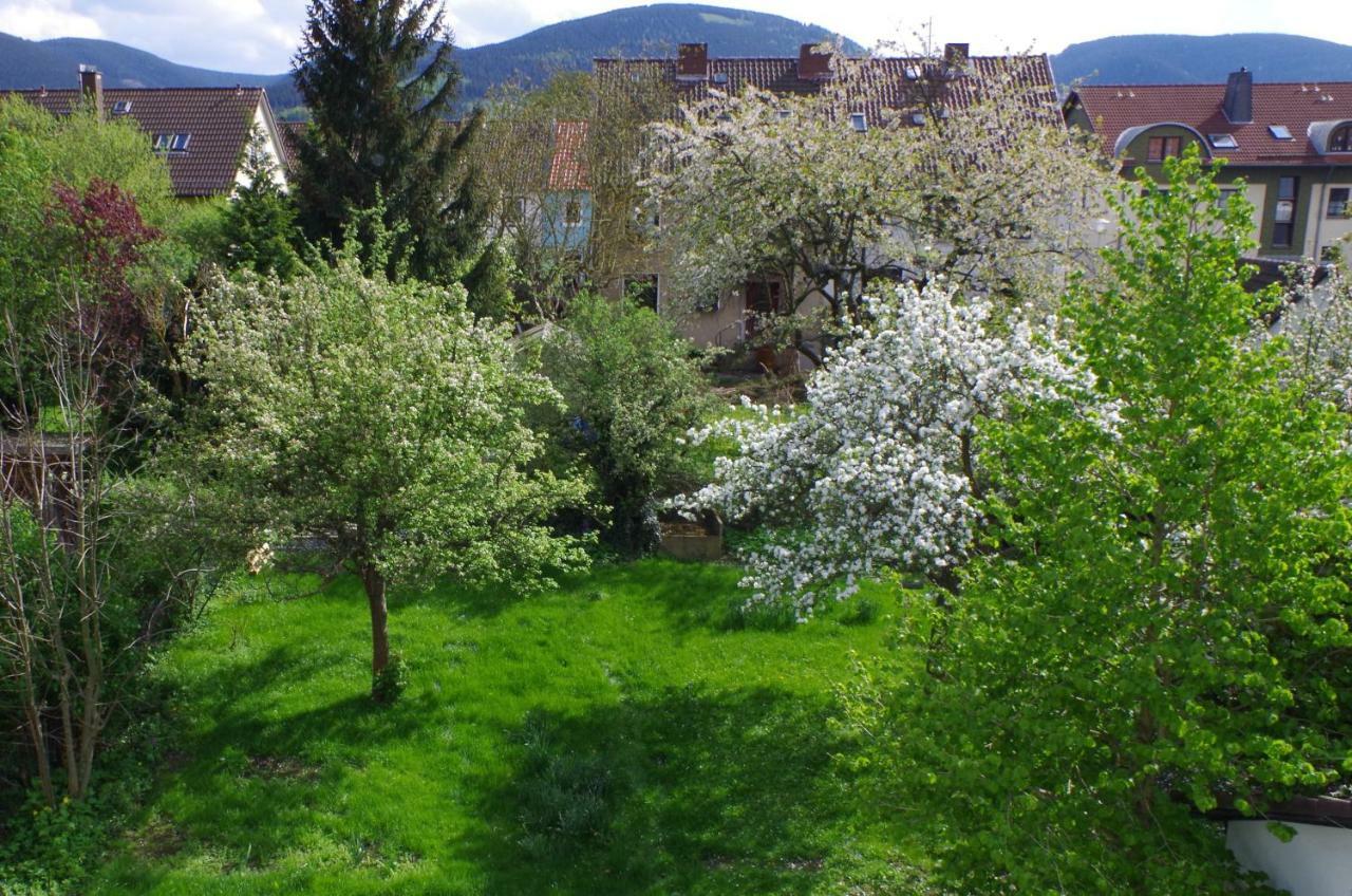 Fewo Georgenberg Goslar Buitenkant foto